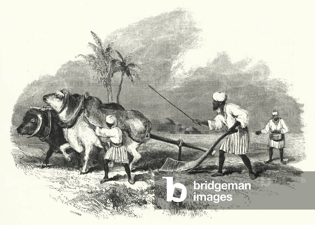 Ploughing (engraving)