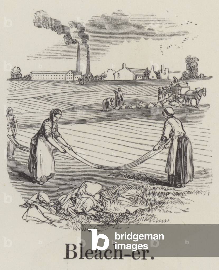 Bleacher (engraving)