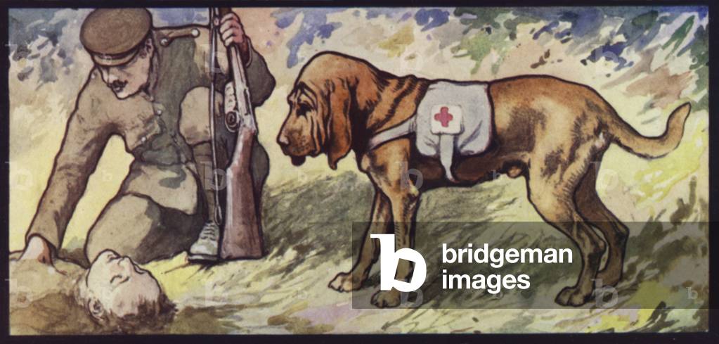 Ambulance Bloodhound (colour litho)