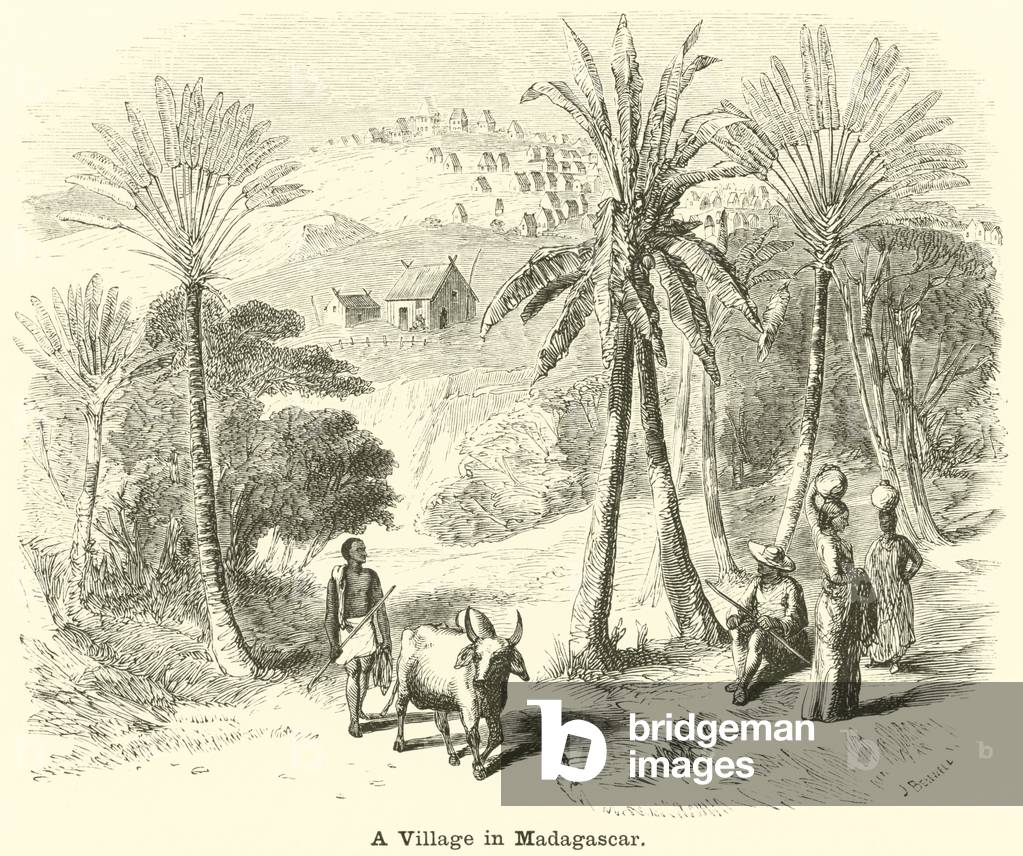 A Village in Madagascar (engraving)