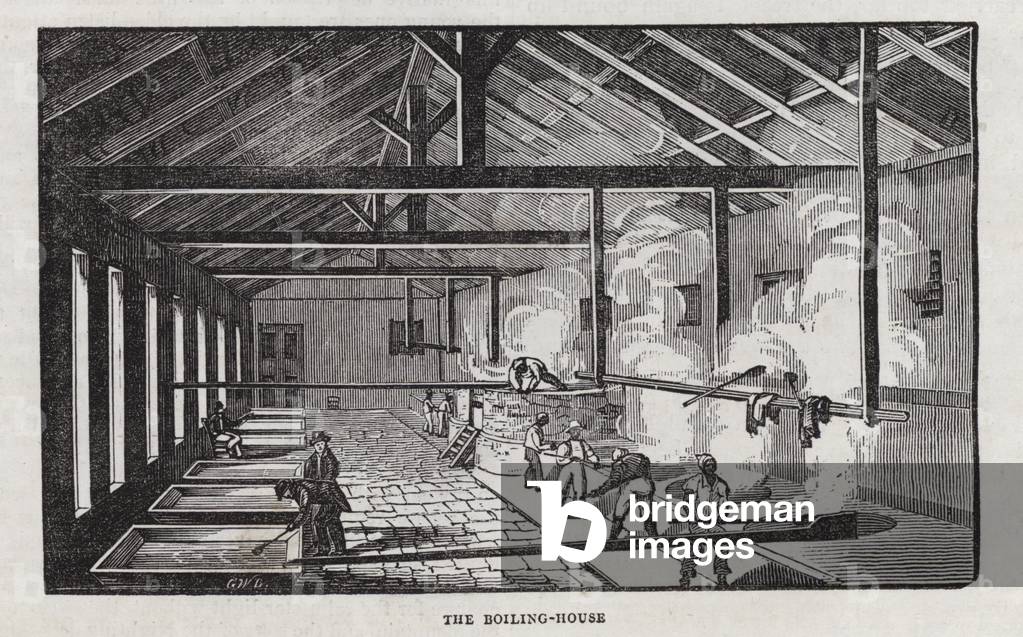 Sugar production (engraving)