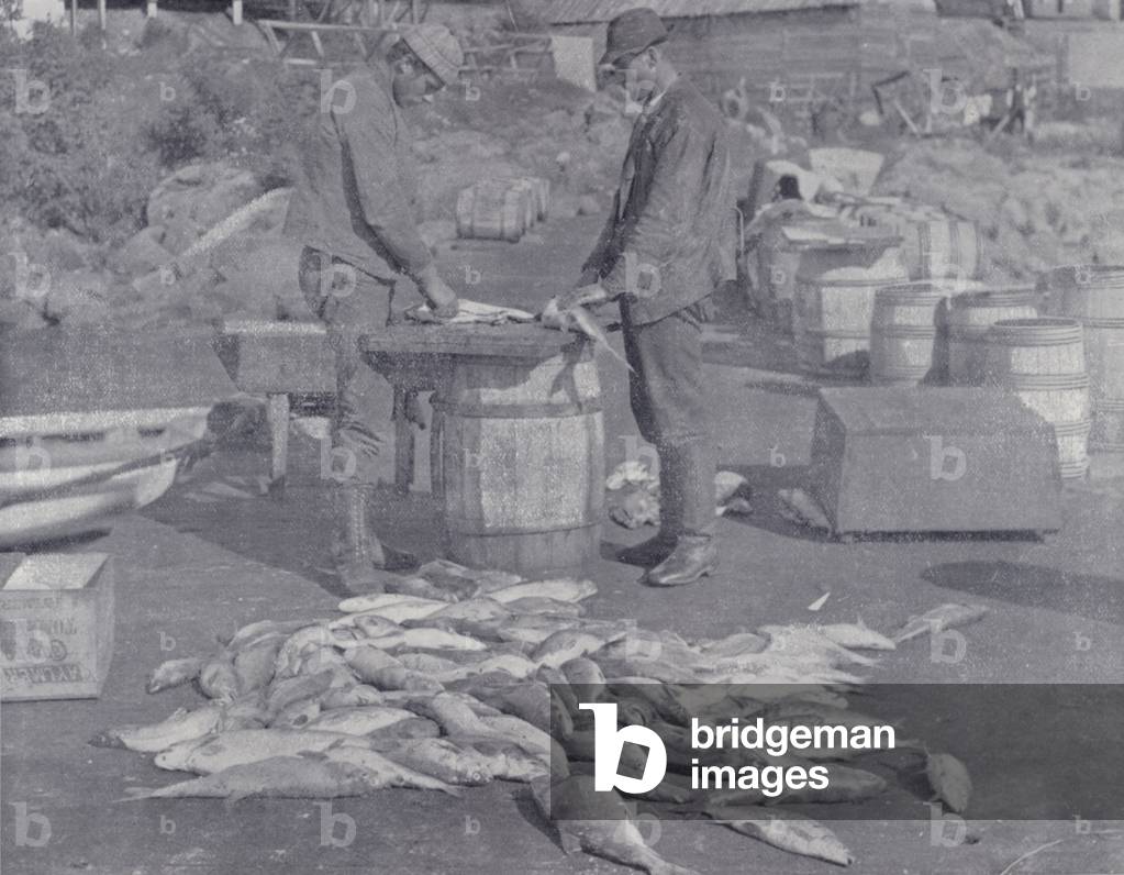 Canada: Dressing Trout for Market on Lake Superior (b/w photo)