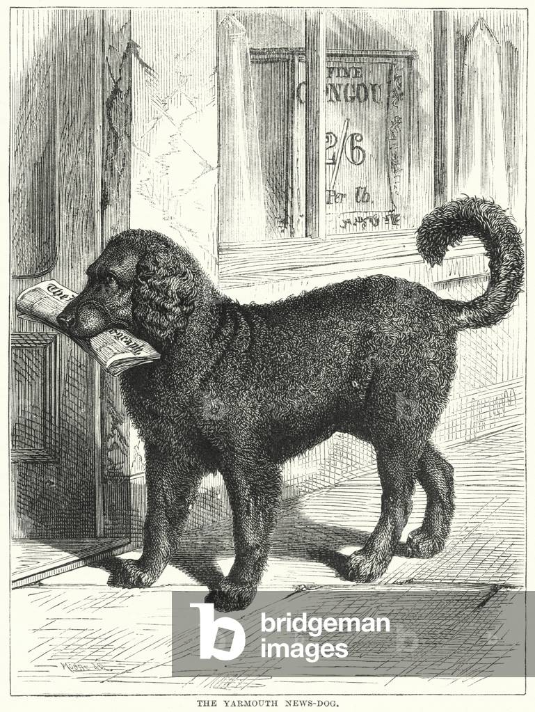The Yarmouth News-Dog (engraving)