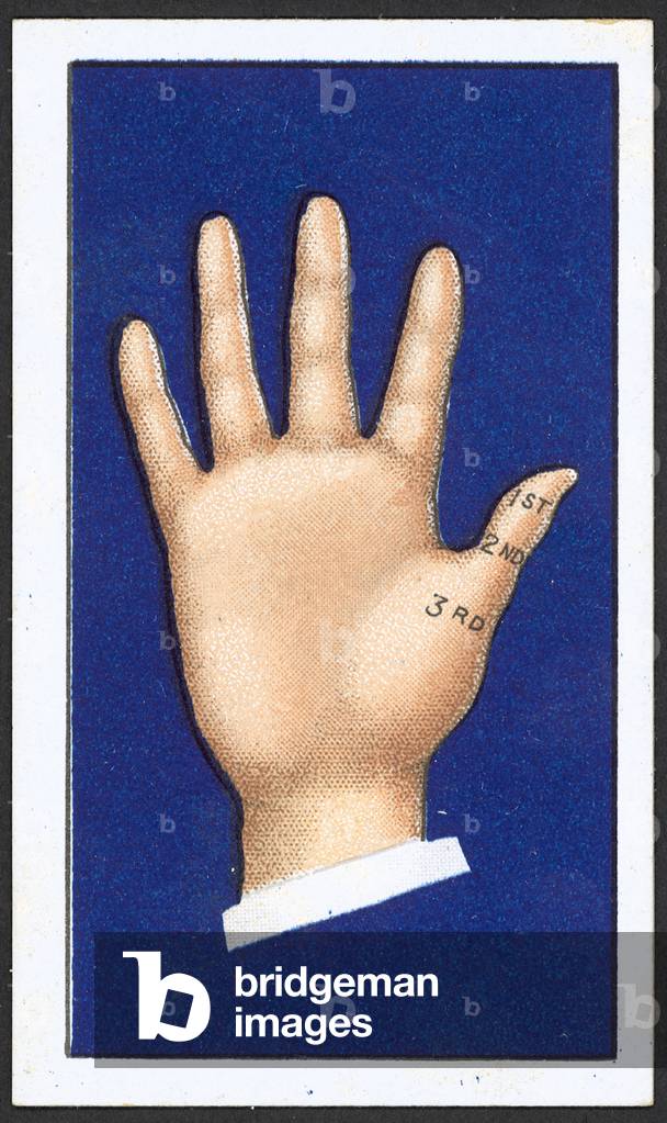 Thumb (colour litho)