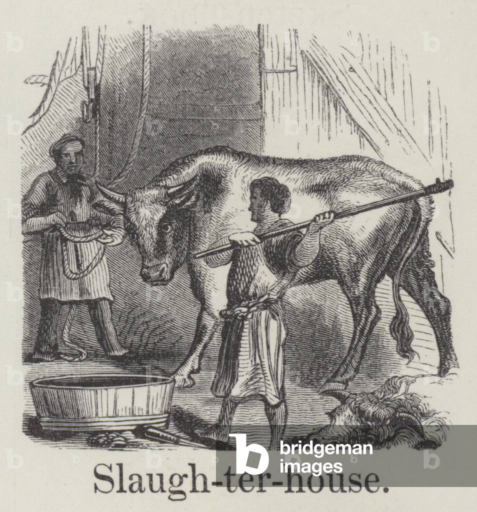 Slaughterhouse (engraving)