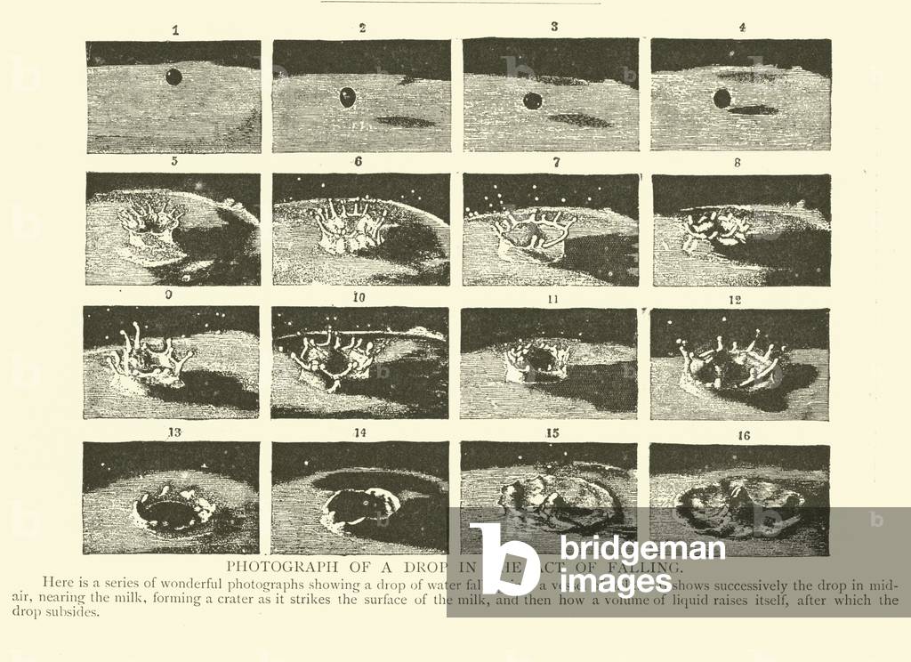 Photograph of a drop in the act of falling (engraving)