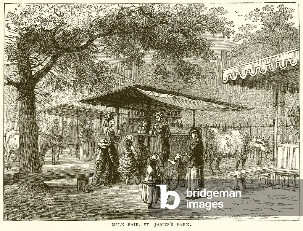 Milk Fair, St. James's Park (engraving)