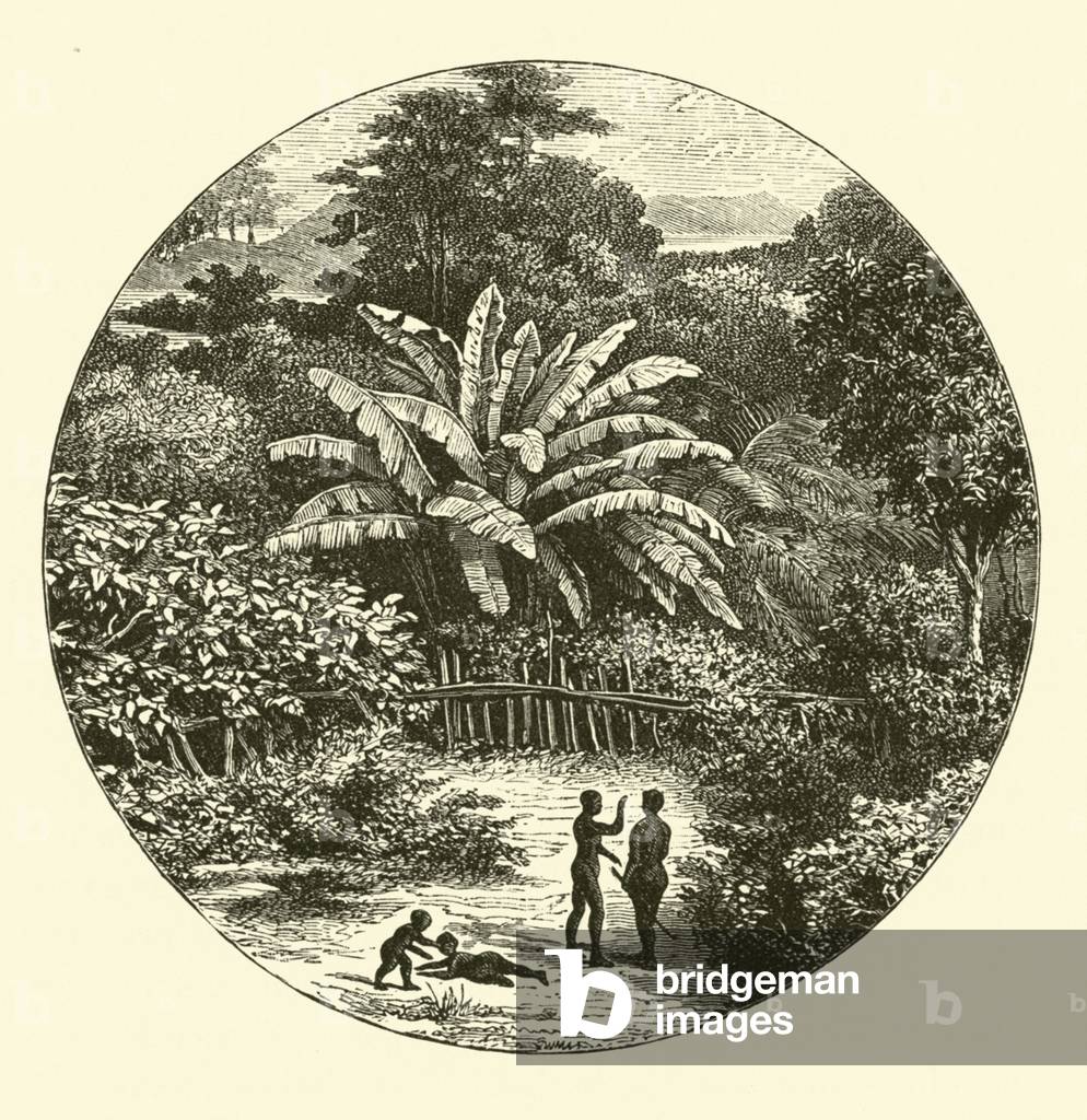 West Africa (engraving)