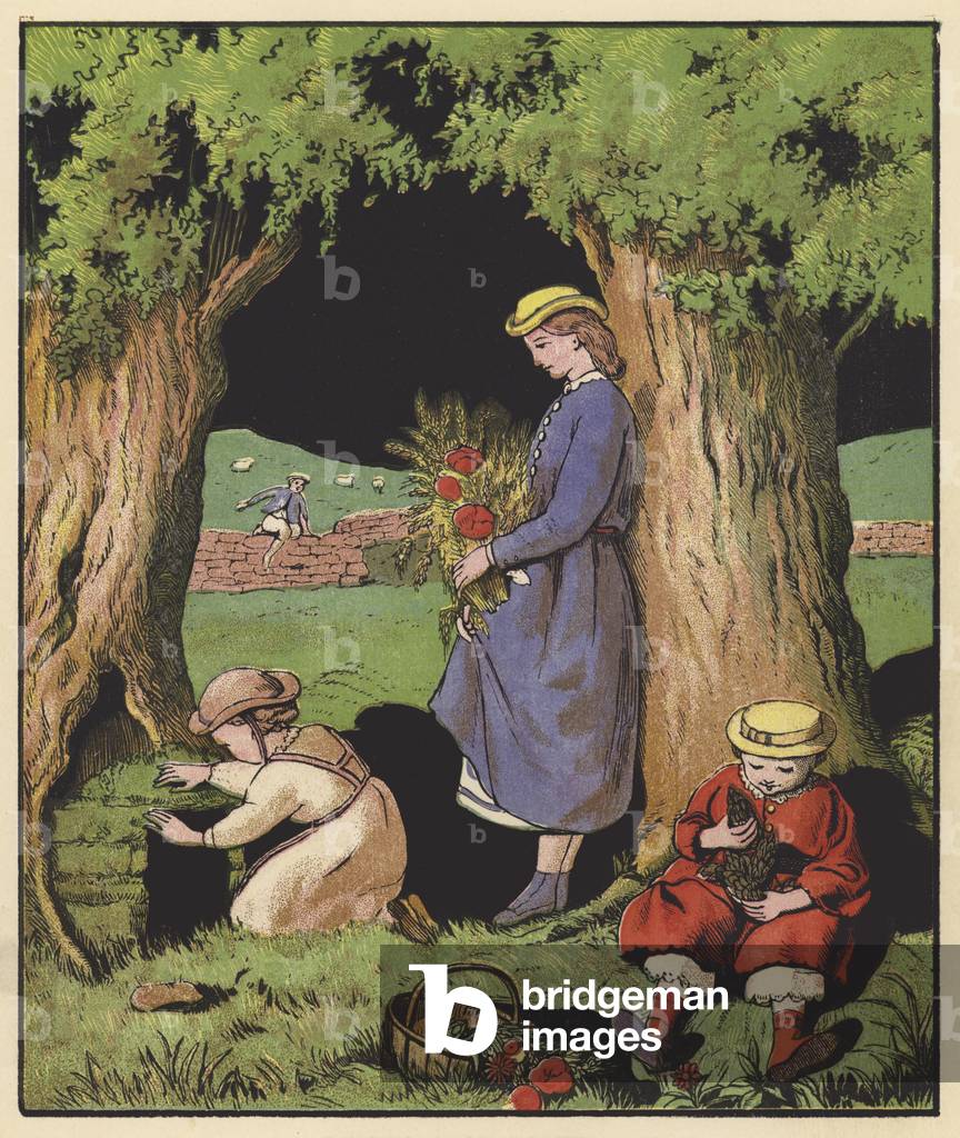 Building moss houses (colour litho)