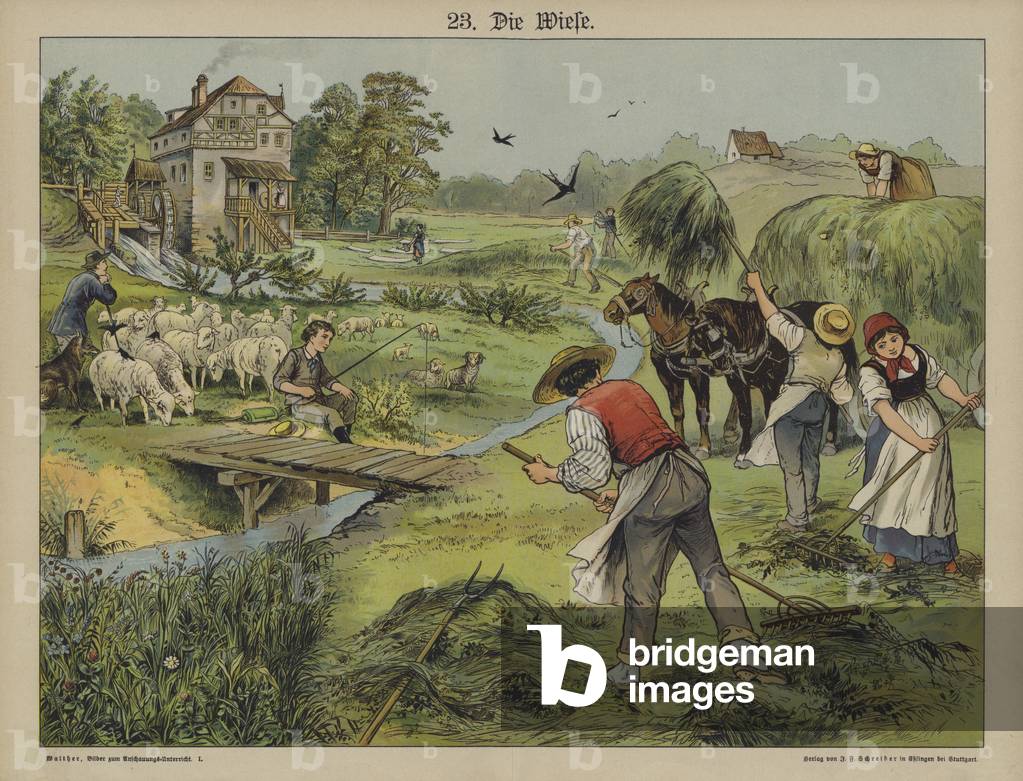 Grass (colour litho)