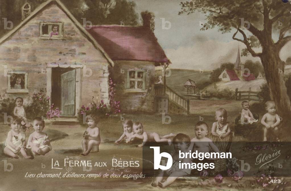 Baby farm (colour photo)