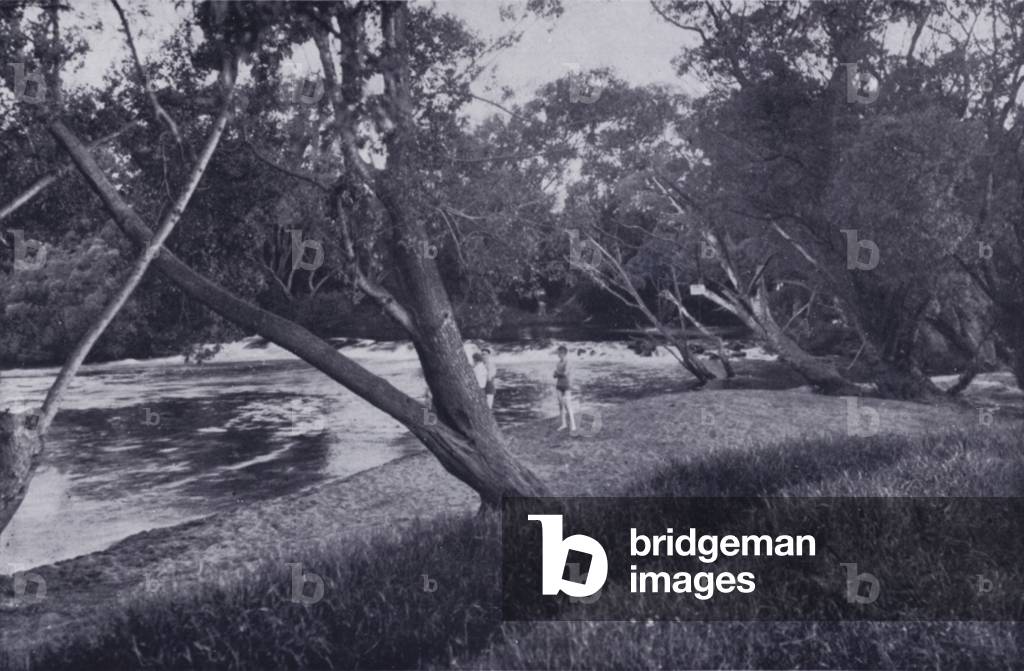 At the St Leonards Picnic Grounds (b/w photo)