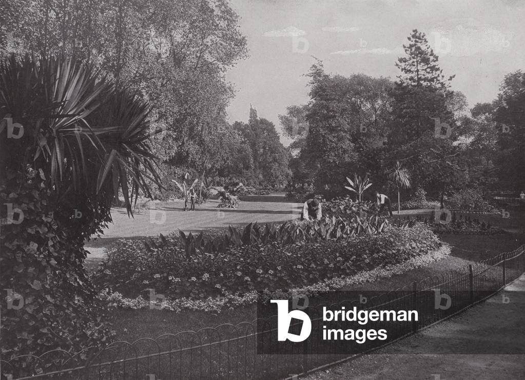 Sub-Tropical Gardens, Battersea Park (b/w photo)