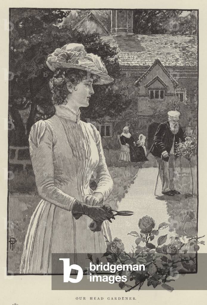 Our Head Gardener (engraving)