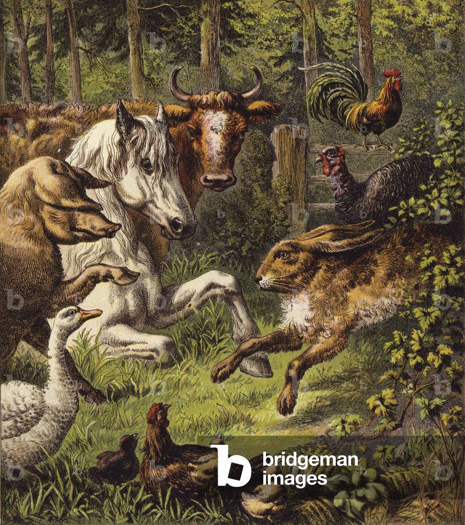 The Hare And The Tortoise (colour litho)