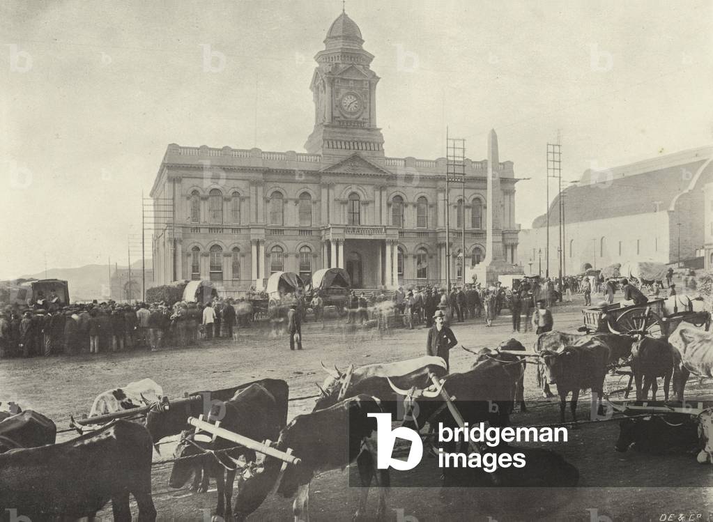 The Early Morning Market, Port Elizabeth (b/w photo)