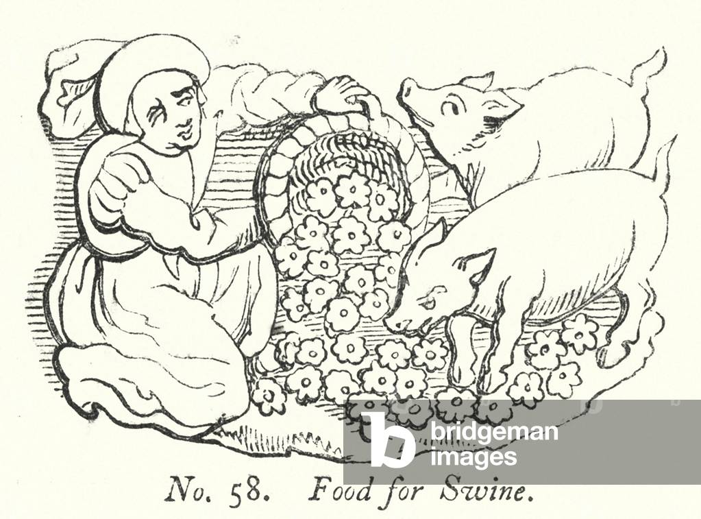 Food for Swine (engraving)