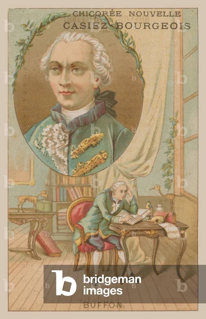 Georges-Louis Leclerc, Comte de Buffon, 18th Century French scientist and writer (chromolitho)