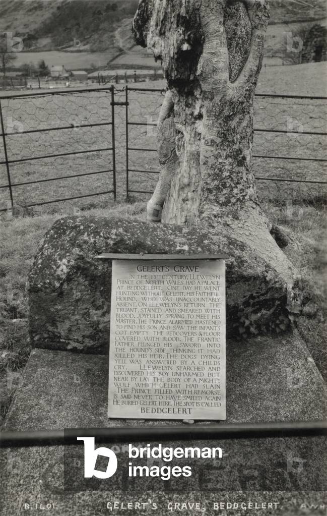 The supposed grave of Gelert, a legendary dog belonging to Llywelyn the Great, Prince of Gwynedd (b/w photo)