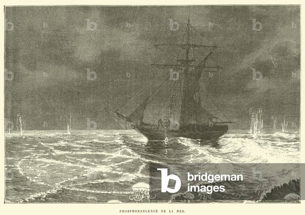 Phosphorescence de la Mer (engraving)