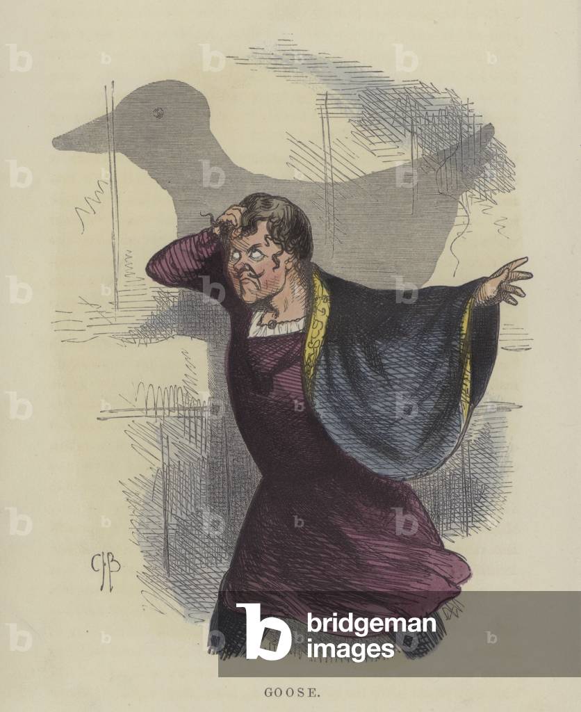 Goose (coloured engraving)