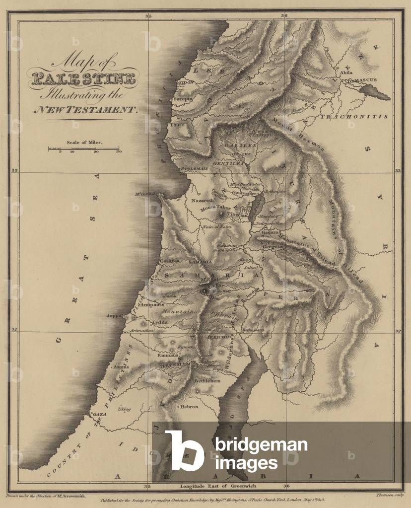 Map of Palestine illustrating the New Testament (engraving)
