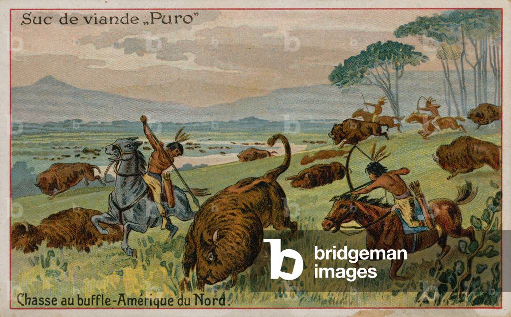 Hunting buffalo in North America (chromolitho)