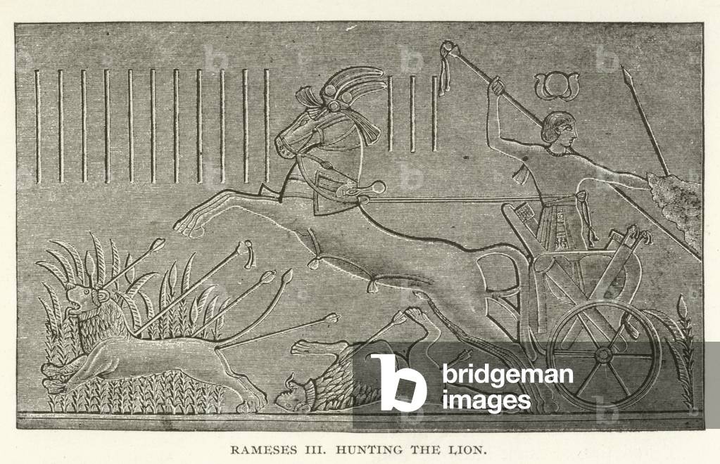 Rameses III hunting the Lion (engraving)