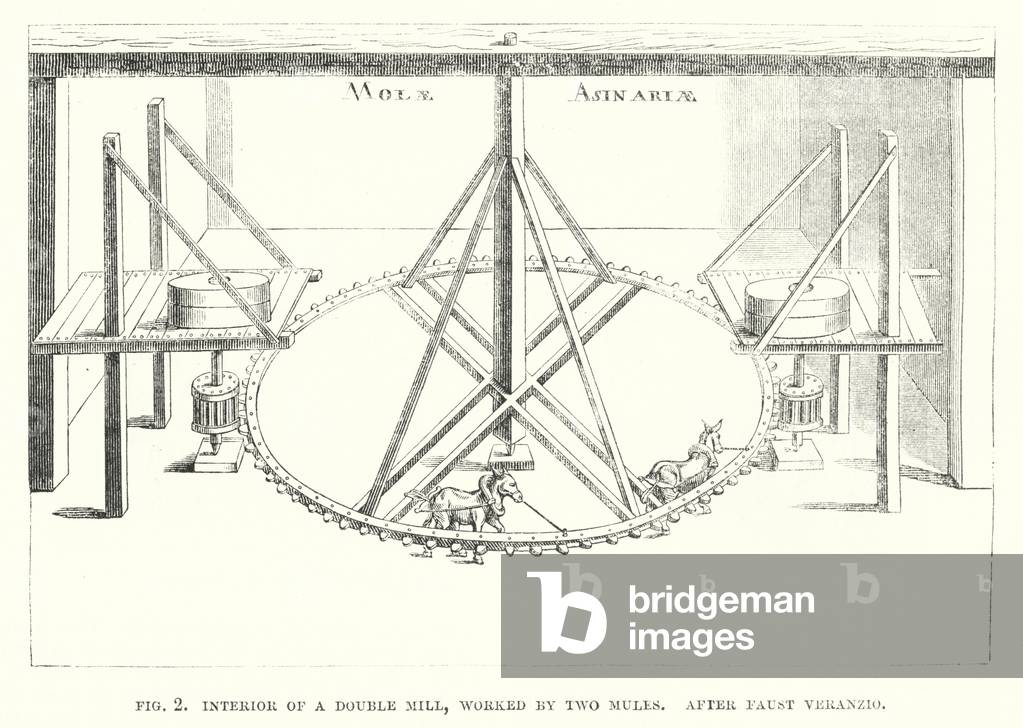 Interior of a double mill, worked by two mules (engraving)