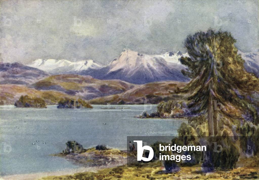 Moquhue Lake, Argentina, 1914 (colour litho)