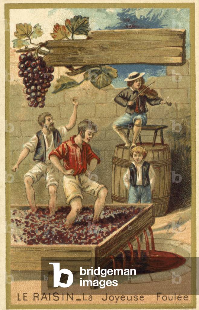 Treading grapes (chromolitho)