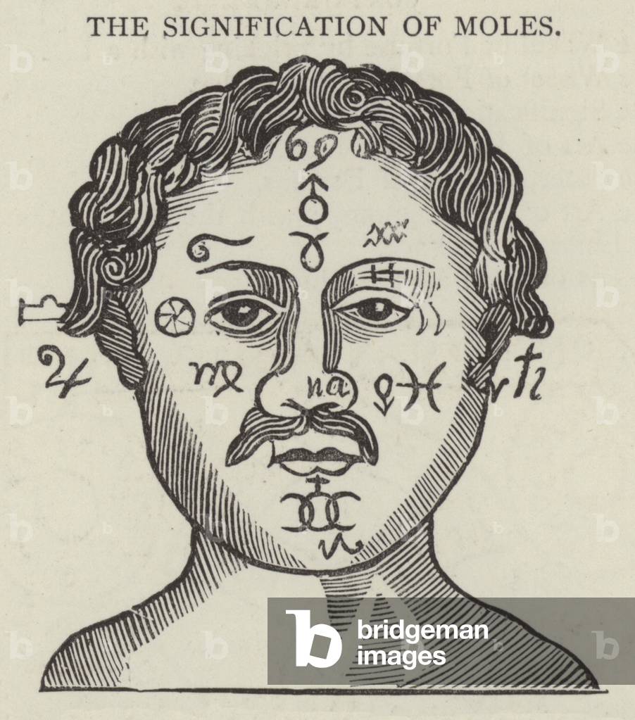 The signification of moles (engraving)