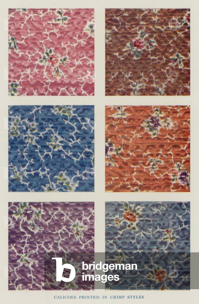 Calicoes printed in Crimp Styles (photo)