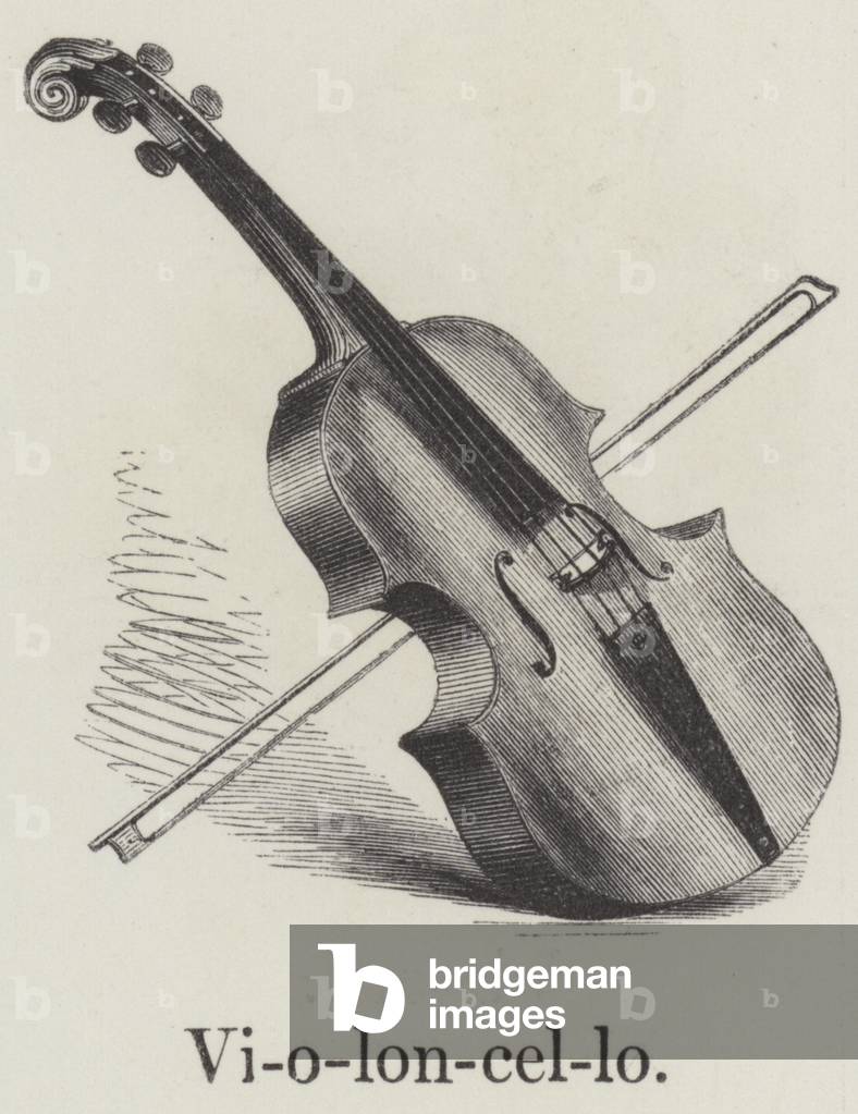 Violoncello (engraving)