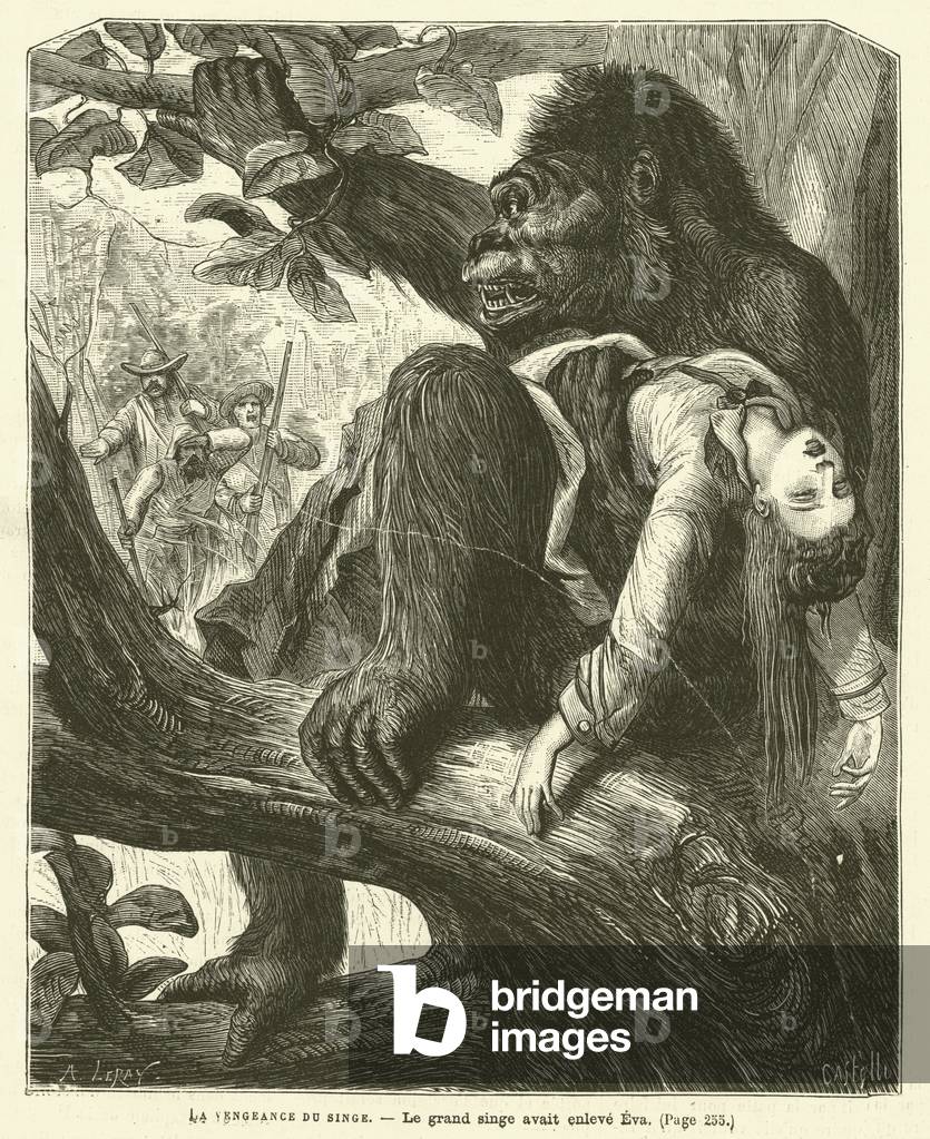 La Vengeance Du Singe (engraving)
