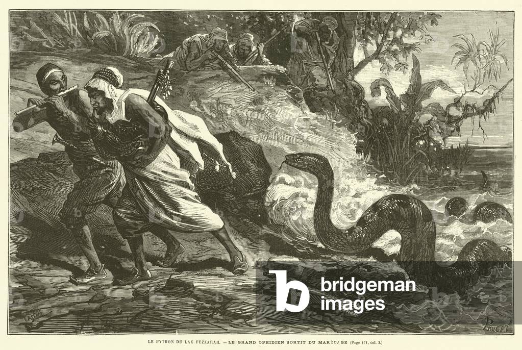 Le Python Du Lac Fezzarah (engraving)