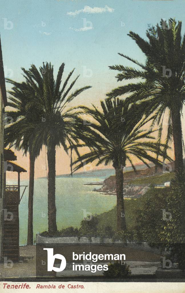 Rambla de Castro, Tenerife, Canary Islands, Spain (photo)