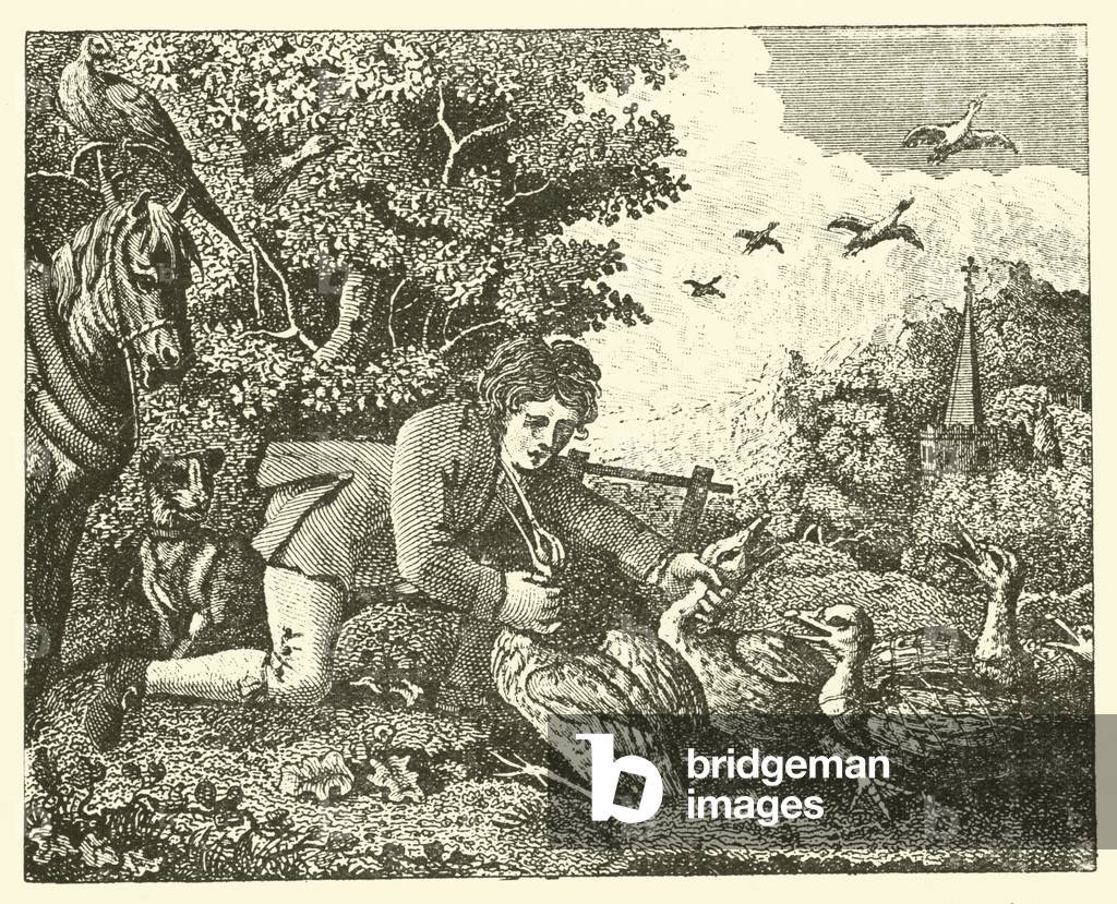 The husbandman and the stork (engraving)