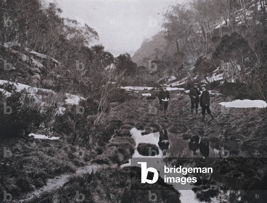 The Long Plain, Mount Buffalo (b/w photo)