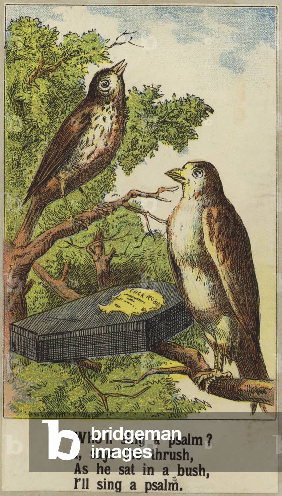 Cock Robin (colour litho)