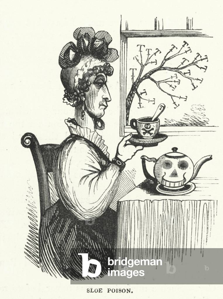 Sloe poison (engraving)