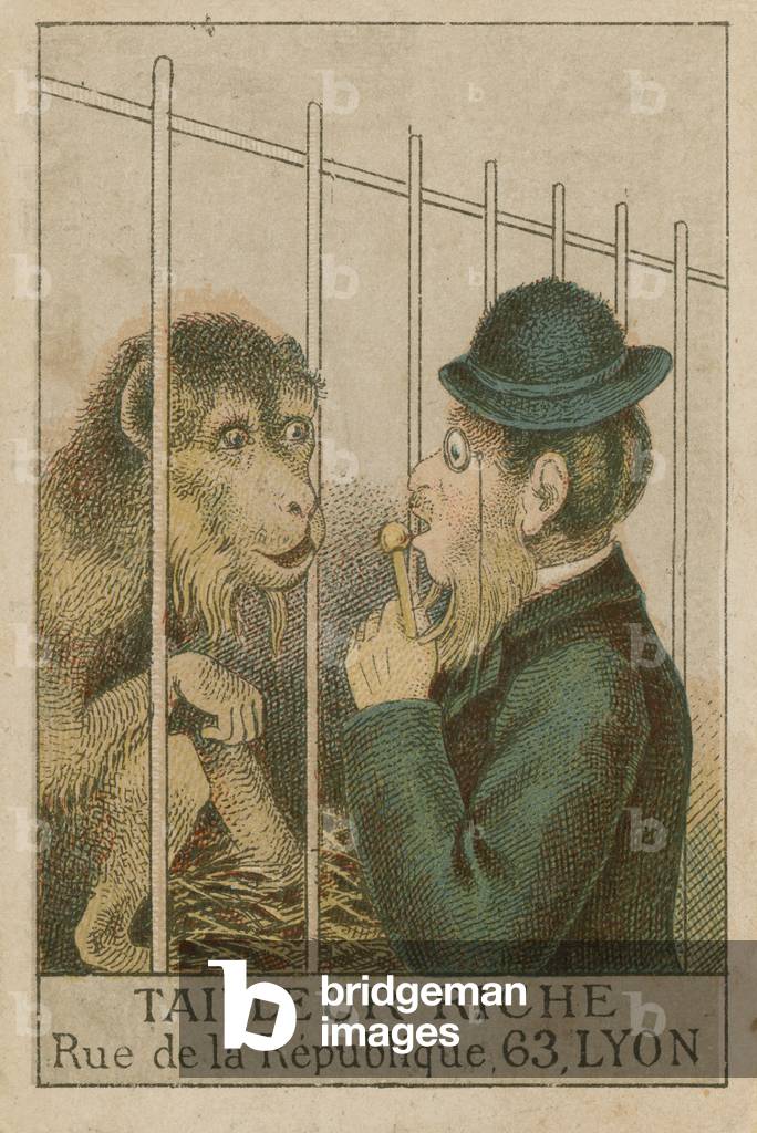 Ape and man (chromolitho)