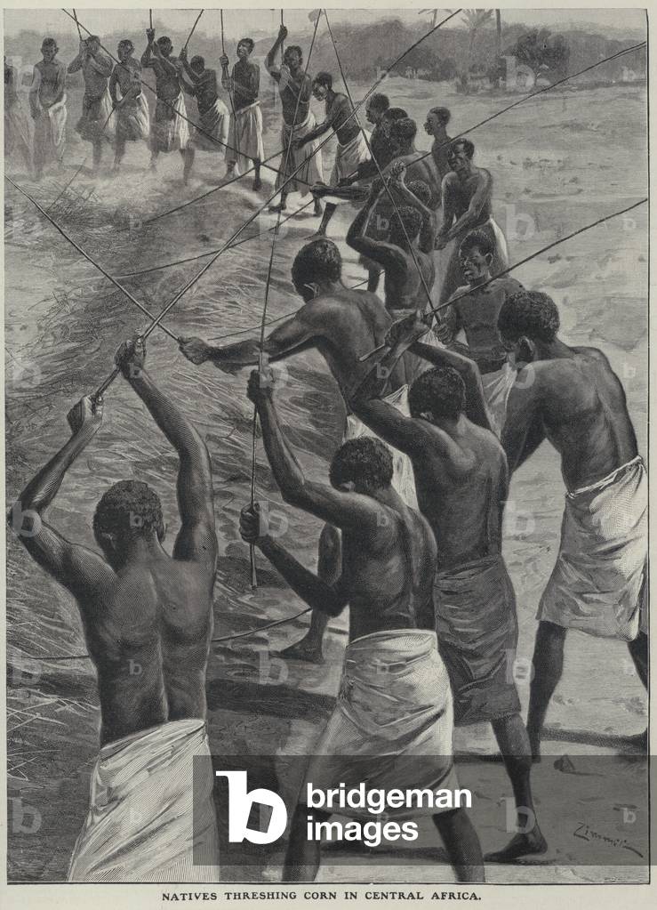 Threshing corn in Central Africa (litho)