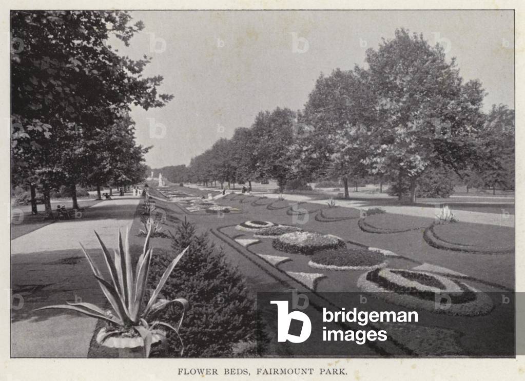 Philadelphia: Flower Beds, Fairmount Park (b/w photo)