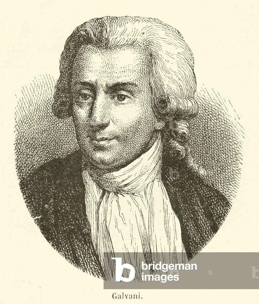 Luigi Galvani (engraving)