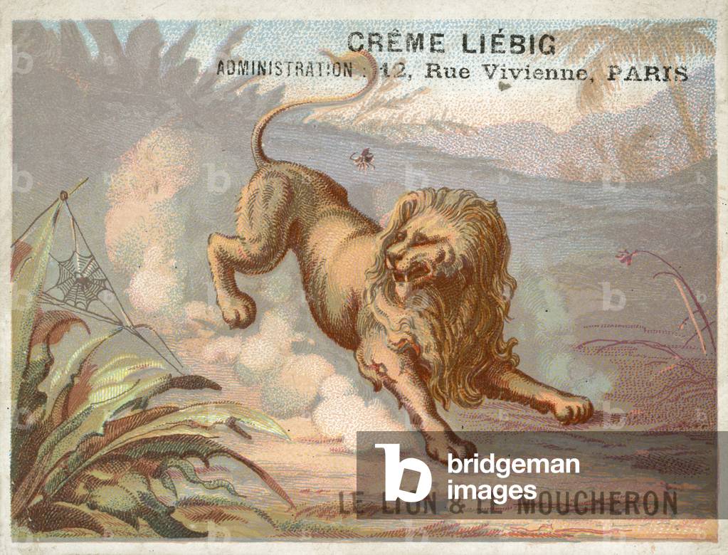 The Lion and the Mosquito (chromolitho)