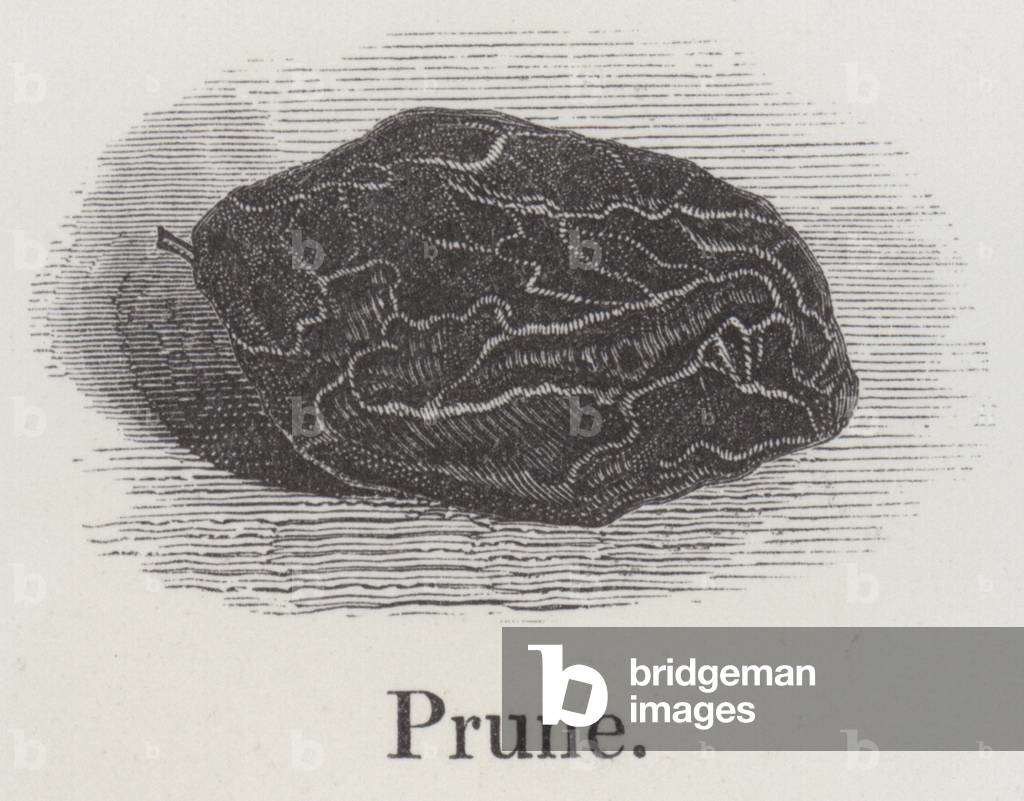 Prune (engraving)