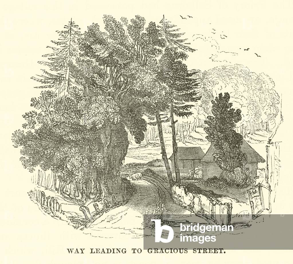 Way leading to gracious street (engraving)