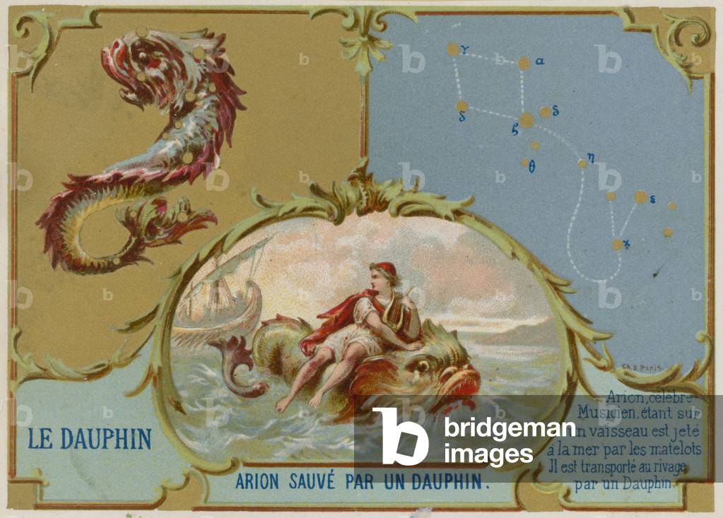 Dolphin - Arion is saved by a dolphin (chromolitho)