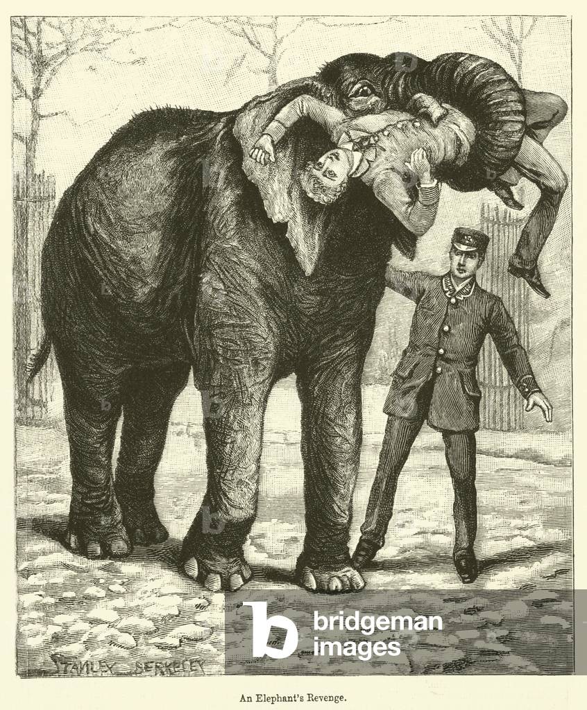 An Elephant's Revenge (engraving)